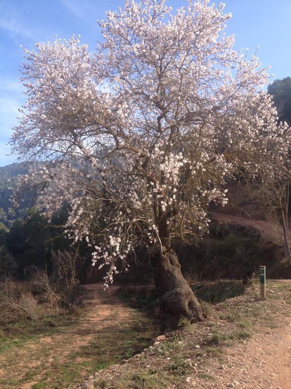 Masia Casajoana Rural Rellinars Kültér fotó