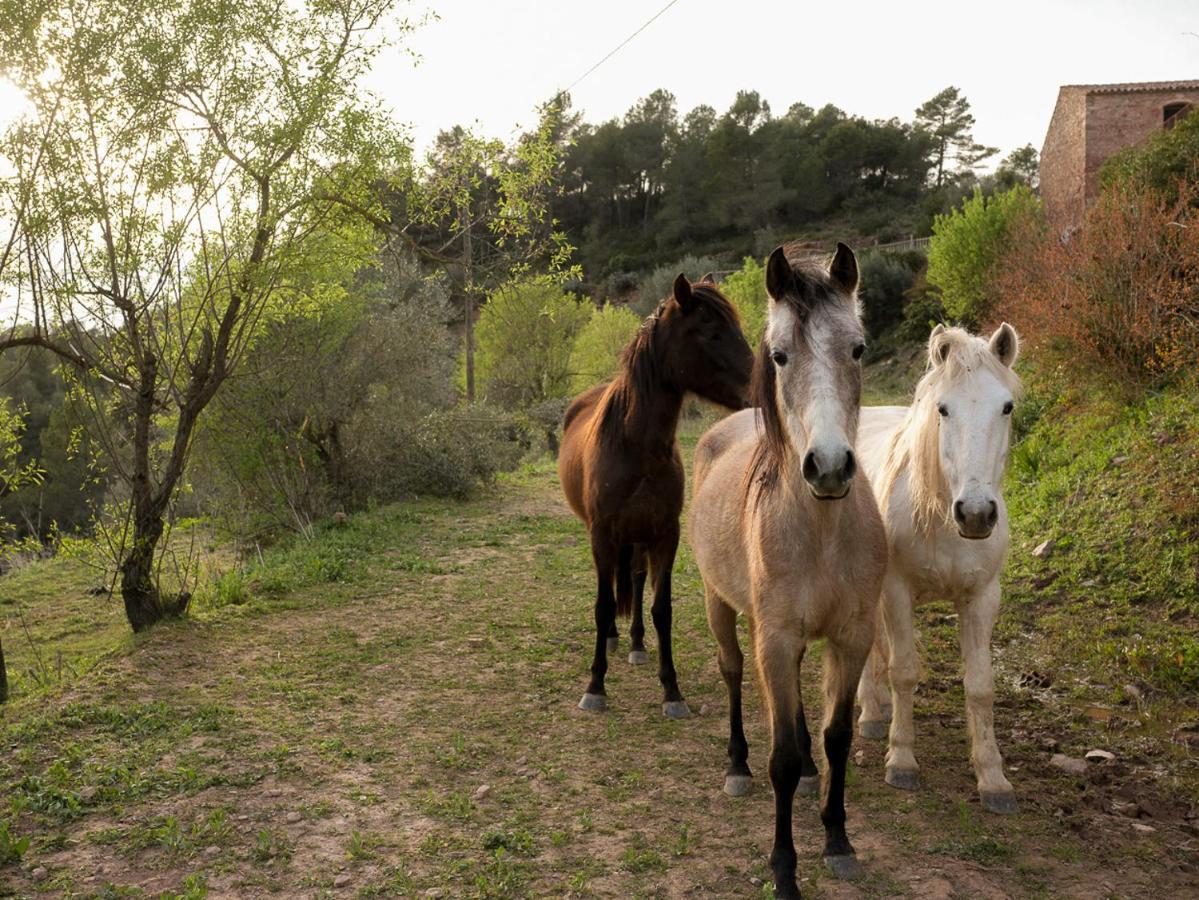 Masia Casajoana Rural Rellinars Kültér fotó